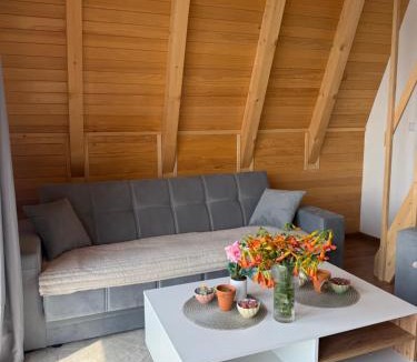 Mali Radic Villa | Villa Kovacevic 2