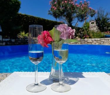 Rovinjsko Selo Apartment | Villa Ana