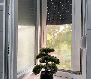 Siroki Brijeg Apartment | Bella stan na dan