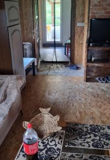 Canton 10 Ski Chalet | Planinska kuca Gogo