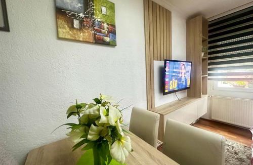 Mostar Apartment | Zigana Apartments