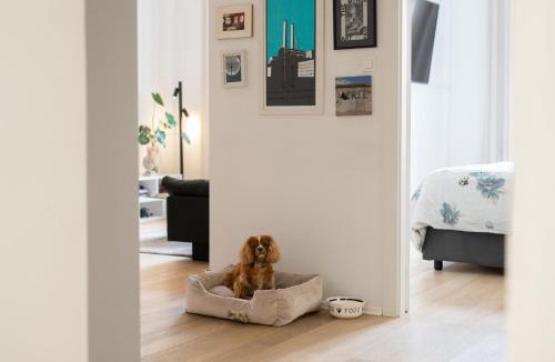 Donji Grad Apartment | Funicular Apartment Zagreb