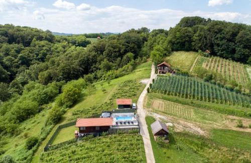 Krapina-Zagorje House | Pool Estate AquaHaven with Sauna & Jacuzzi - Happy Rentals