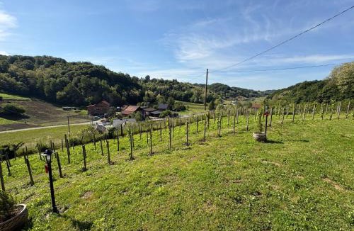 Veliko Trgovisce House | Kuća za odmor Katarina