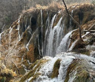 Seliste Dreznicko Apartment | Wooden Villa Old Oak Plitvice Lakes