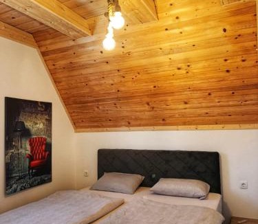 Blidinje Nature Park Ski Chalet | Villa Madalina Blidinje
