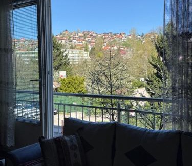 Alipasin Most Apartment | Grandma's Cozy Studio