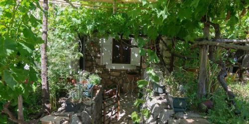 Veli Losinj Apartment | Apartments in Veli Losinj 33230