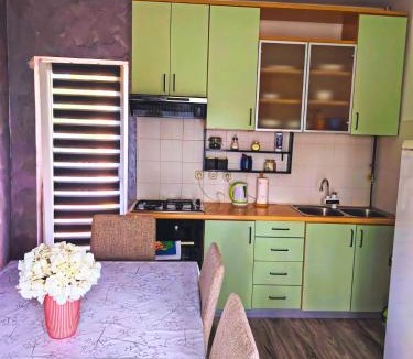 Koprivnica Apartment | Skitnica Life