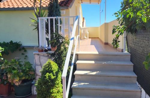 Molunat Apartment | Apartments Miovic