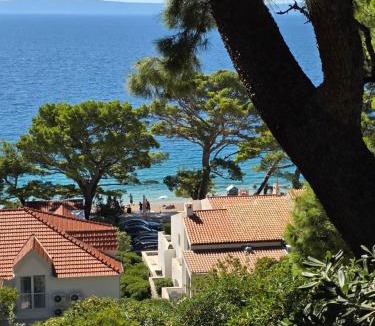 Brela Apartment | VILLA Bose
