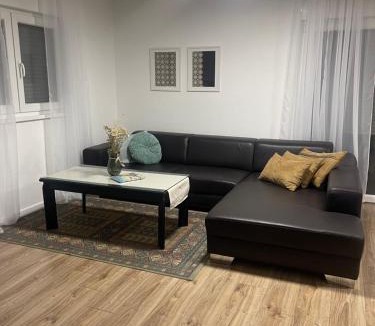 Canton 10 House | Sašina kuća