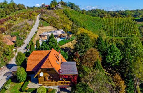 Donja Voca House | Family friendly house with a swimming pool Gornja Voca, Zagorje - 11873