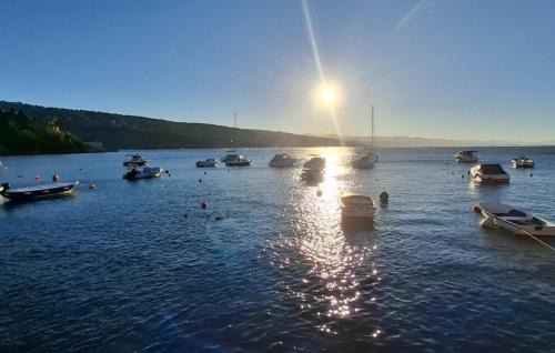Pobri Apartment | Apartman Beni - Cozy Retreat near Opatija by Villas Guide