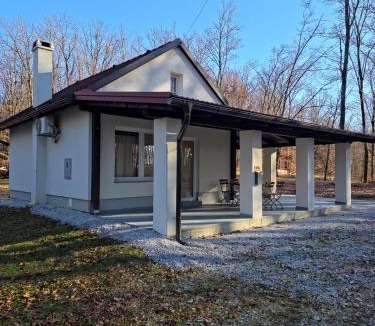 Bistra House | Kuća za odmor Mirai