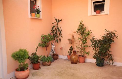 Ivan Dolac House | Apartments and rooms with parking space Ivan Dolac, Hvar - 8734