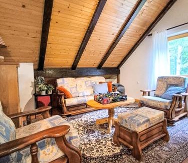 Kupjak Ski Chalet | Villa Zlatica