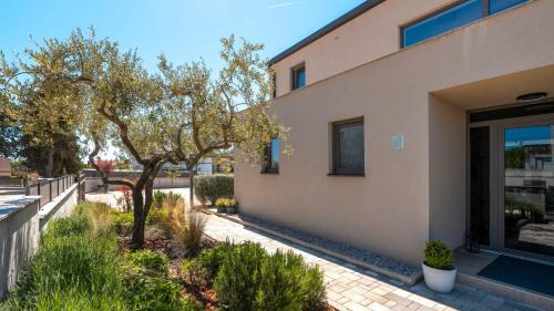 Novigrad Villa | Luxury Villa Lipa Tree with pool in Novigrad