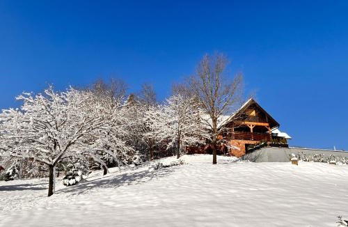 Pisarovina House | Tri srca