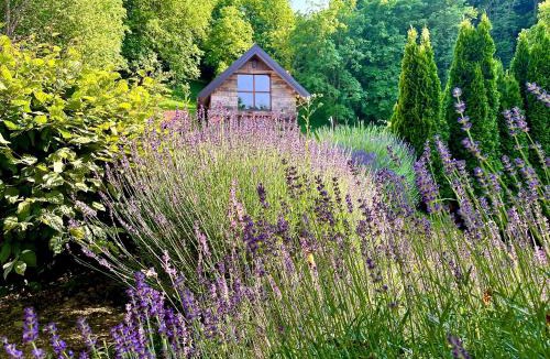 Novi Marof Villa | Vila Countryhouse Pijevci