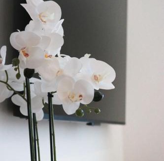 Karlovac Apartment | Royal Rest Apartments Karlovac-Luxury, Central Location & Free Parking