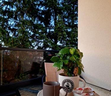 Prijedor Apartment | Apartman REINA HOME