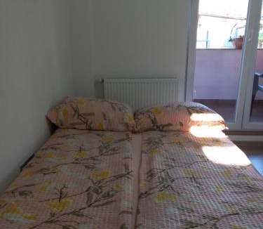 Mali Radic Apartment | Apartman Leon