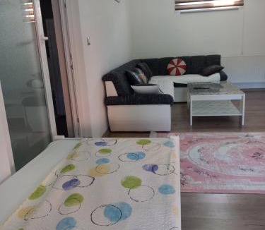Mali Radic Apartment | Apartman Leon