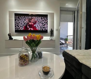 Modrica Apartment | Apartment Aristos