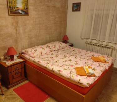 Ogulin Apartment | Apartments for families with children Hreljin Ogulinski, Gorski kotar - 24798