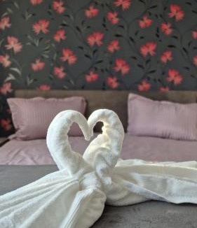 Piatra Neamt Apartment | Sofia Apartment
