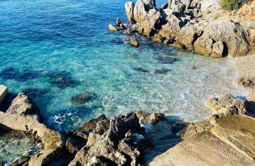 Molunat Apartment | Villa Marija - Sea View Rooms