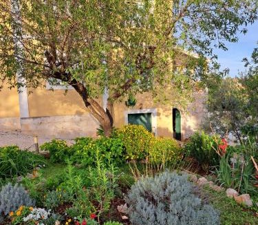 Island Dugi Otok Apartment | New apartments with an amazing pool