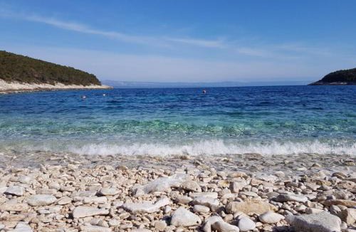 Vela Luka House | House Villa Bistrana