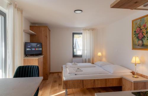 Grad Apartment | Hiša S'TJE Ljubljana Airport