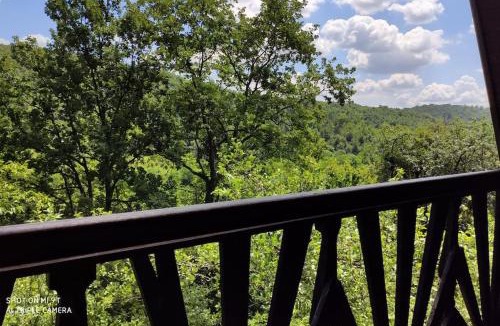 Staro Petrovo Selo Ski Chalet | UNDER THE GREEN ROOF