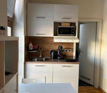 Cakovec Apartment | Mini Studio