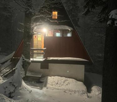 Jahorina Ski Chalet | Vikendica Jahorina J&K