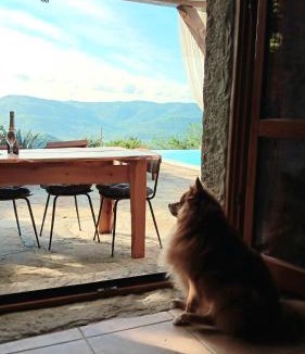 Sovinjska Brda Villa | Kuća Zanetta sa bazenom