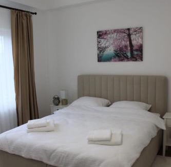 Pale Apartment | Apartmani Grot Pale