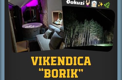 Bosnia House | Vikendica sa djakuzijem Borik