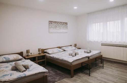Borovo House | Holiday home with hot tub Vukovar, Slavonija - 22809