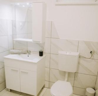 Borovo House | Holiday home with hot tub Vukovar, Slavonija - 22809