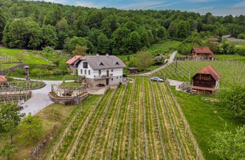 Crnomelj House | Vrtin Vineyard Family Retreat - Happy Rentals