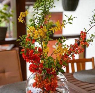Dragoslavele Villa | Vila Passiflora