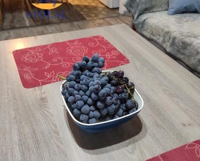 Stolac Apartment | Apartman Sunny