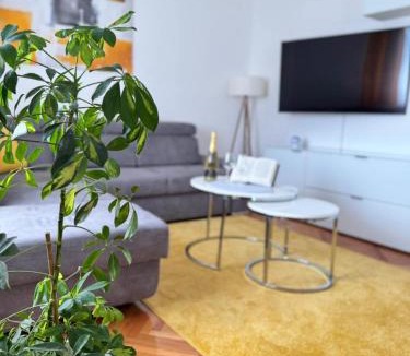 Bosanski Brod Apartment | Appartement Nada