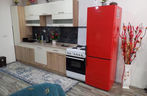 Mali Radic Apartment | Apartman Varcar