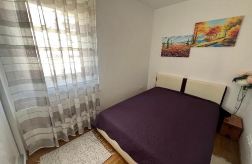 Mali Radic Apartment | Apartman Jan