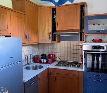 Mihotici Villa | Kuća za odmor Viktoria